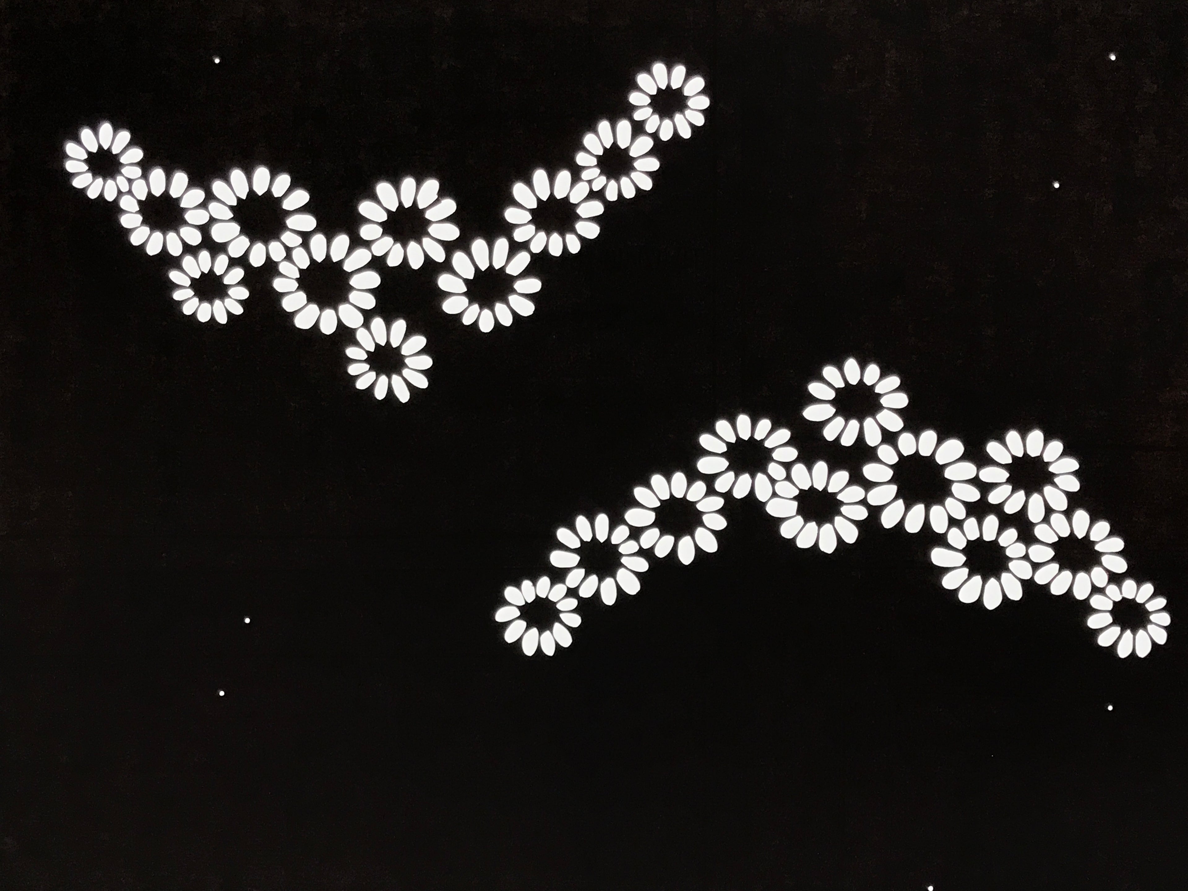 Antique Japanese Katagami Paper Kimono Stencil Katazome Chrysanthemum Kiku A839