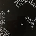 Antique Japanese Katagami Paper Kimono Stencil Katazome Feather Background C953