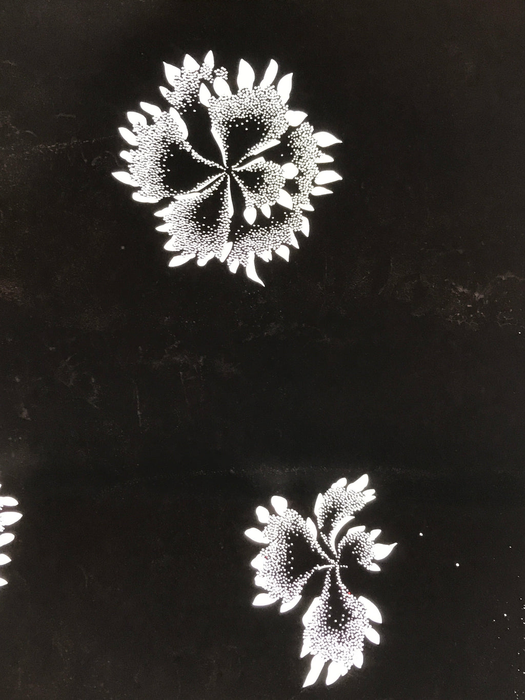 Antique Japanese Katagami Paper Kimono Stencil Katazome Flower Blooms C891