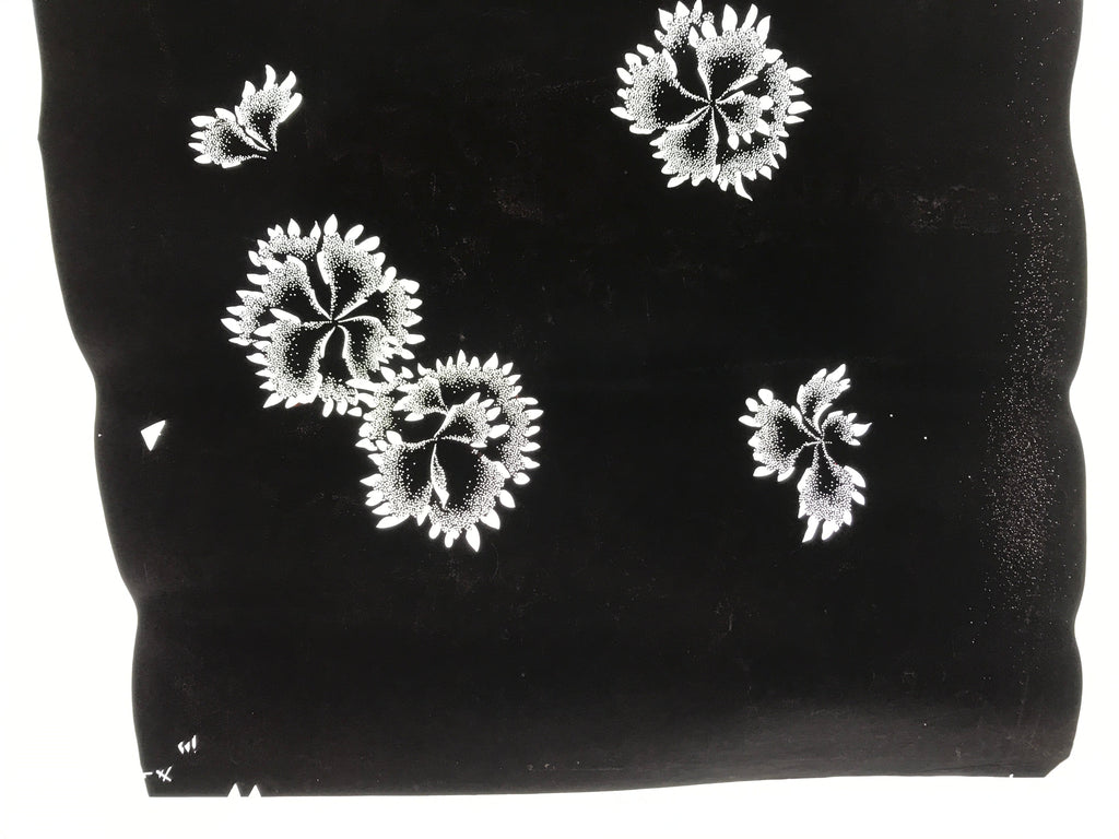 Antique Japanese Katagami Paper Kimono Stencil Katazome Flower Blooms C891