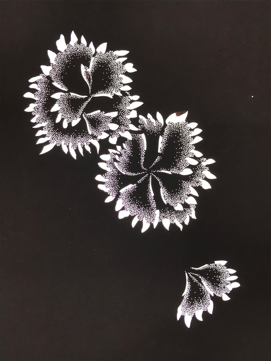 Antique Japanese Katagami Paper Kimono Stencil Katazome Flower Blooms C891