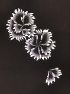 Antique Japanese Katagami Paper Kimono Stencil Katazome Flower Blooms C891