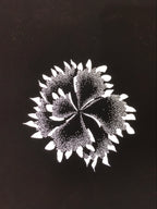 Antique Japanese Katagami Paper Kimono Stencil Katazome Flower Blooms C891