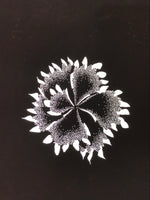 Antique Japanese Katagami Paper Kimono Stencil Katazome Flower Blooms C891