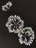 Antique Japanese Katagami Paper Kimono Stencil Katazome Flower Blooms C891