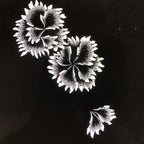 Antique Japanese Katagami Paper Kimono Stencil Katazome Flower Blooms C891