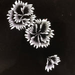 Antique Japanese Katagami Paper Kimono Stencil Katazome Flower Blooms C891