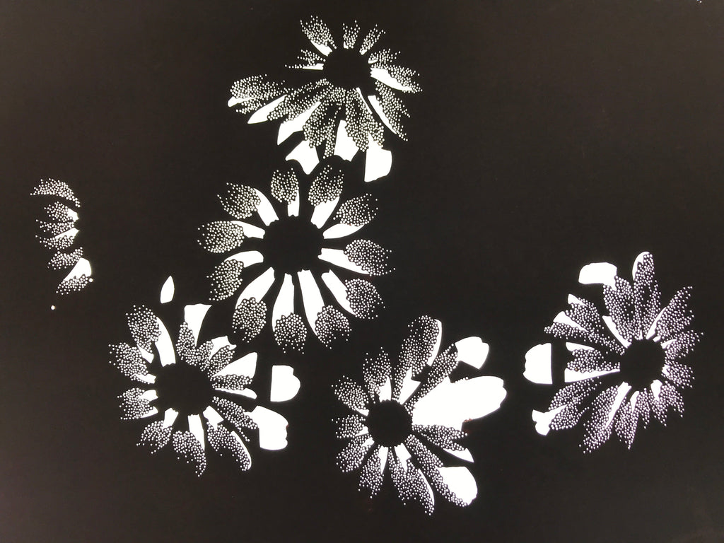 Antique Japanese Katagami Paper Kimono Stencil Katazome Flower Blooms C892