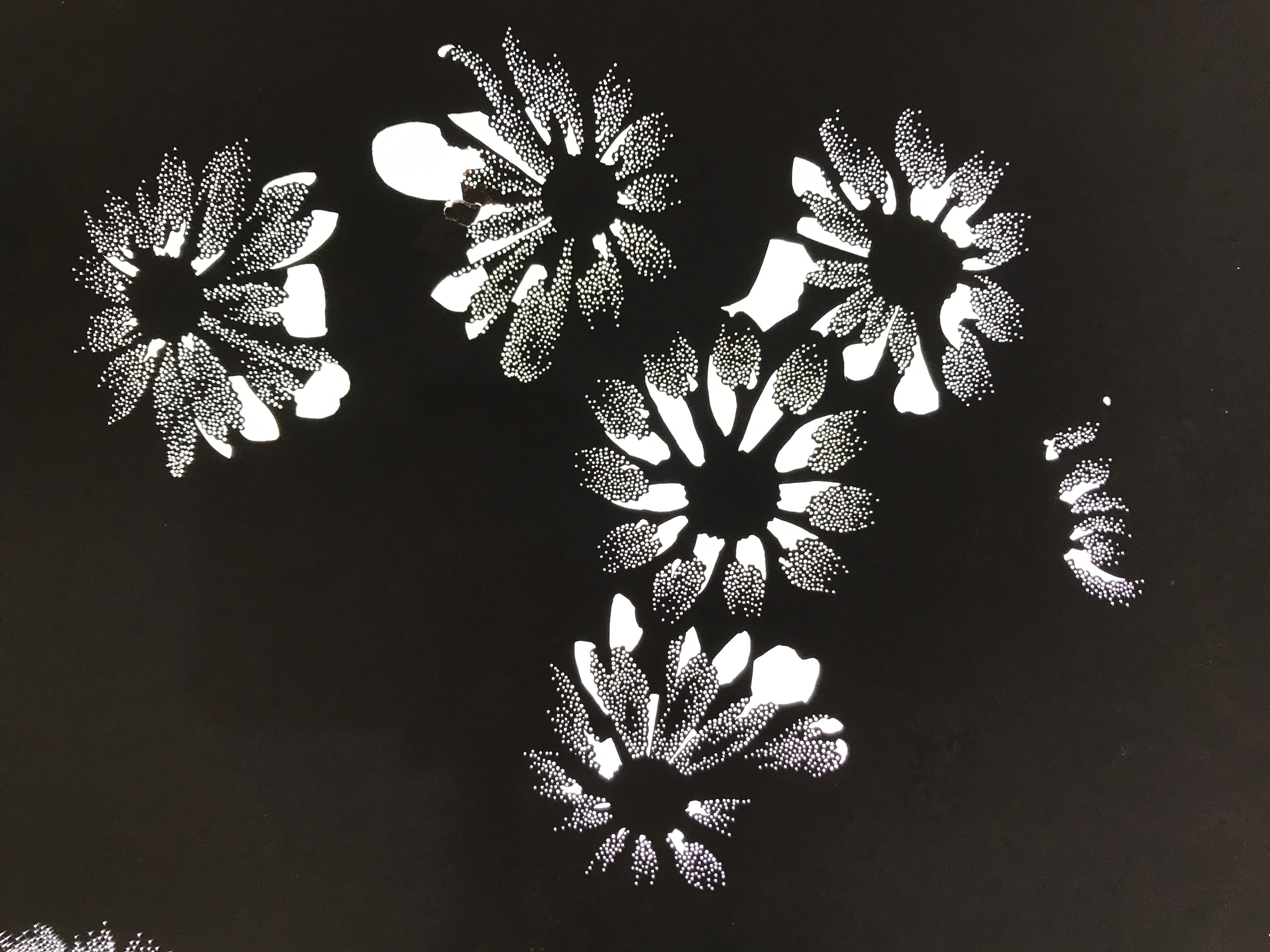 Antique Japanese Katagami Paper Kimono Stencil Katazome Flower Blooms C892