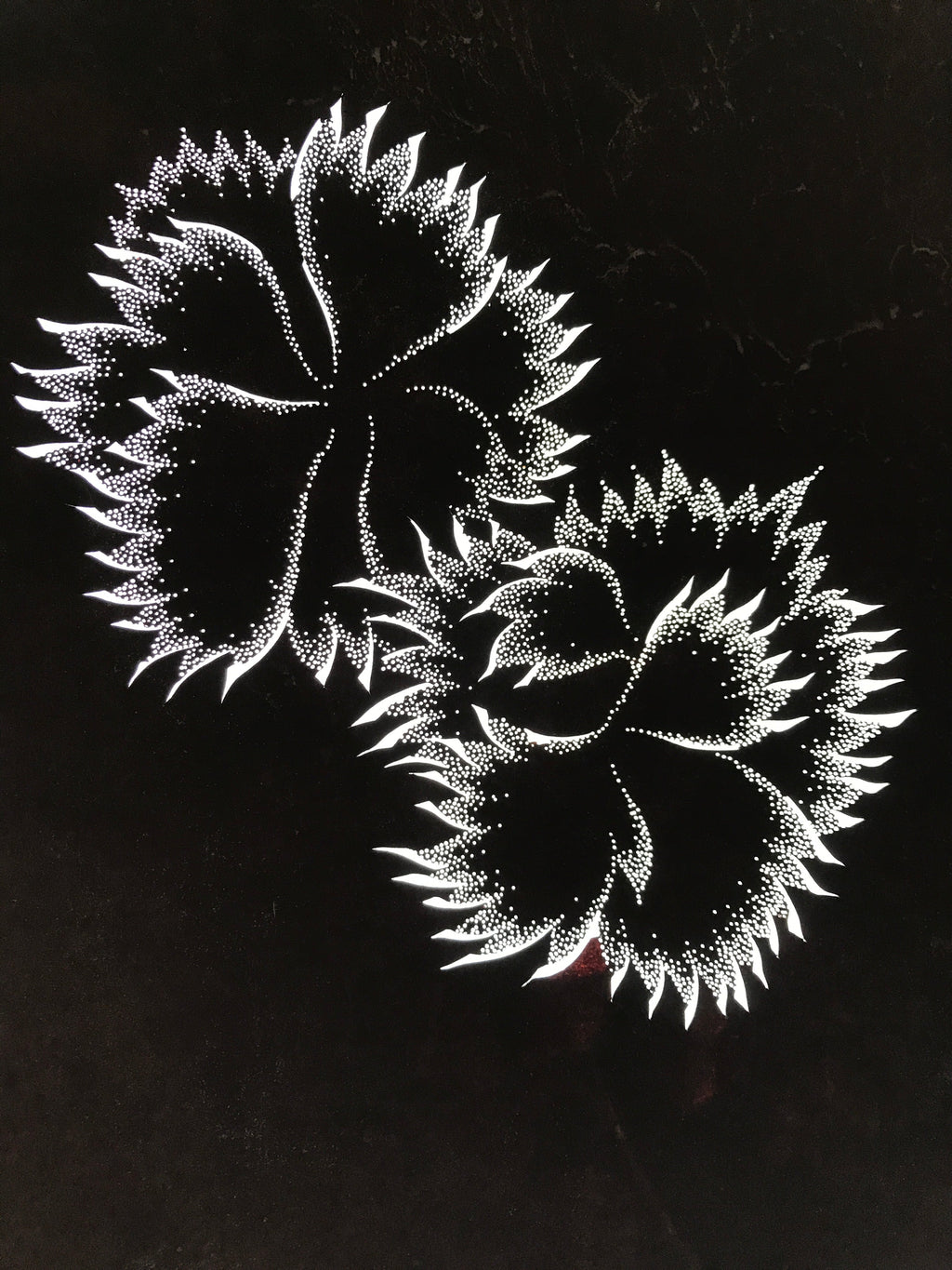 Antique Japanese Katagami Paper Kimono Stencil Katazome Flower Design C895
