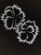 Antique Japanese Katagami Paper Kimono Stencil Katazome Flower Design C895