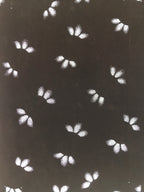Antique Japanese Katagami Paper Kimono Stencil Katazome Flower Petal Design C901
