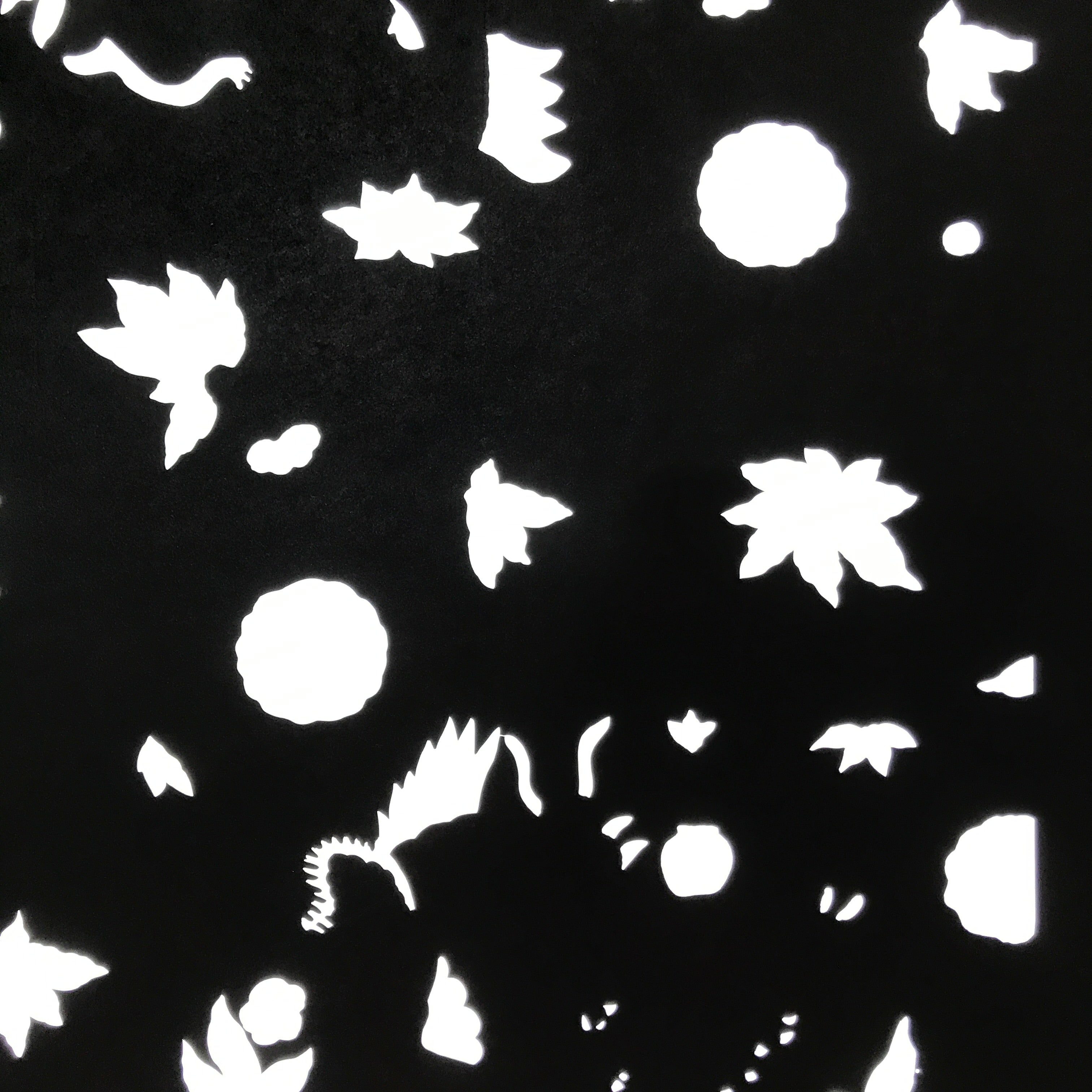 Antique Japanese Katagami Paper Kimono Stencil Katazome Flowers Design C911