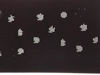 Antique Japanese Katagami Paper Kimono Stencil Katazome Hydrangea Floral A880