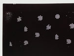 Antique Japanese Katagami Paper Kimono Stencil Katazome Hydrangea Floral A880