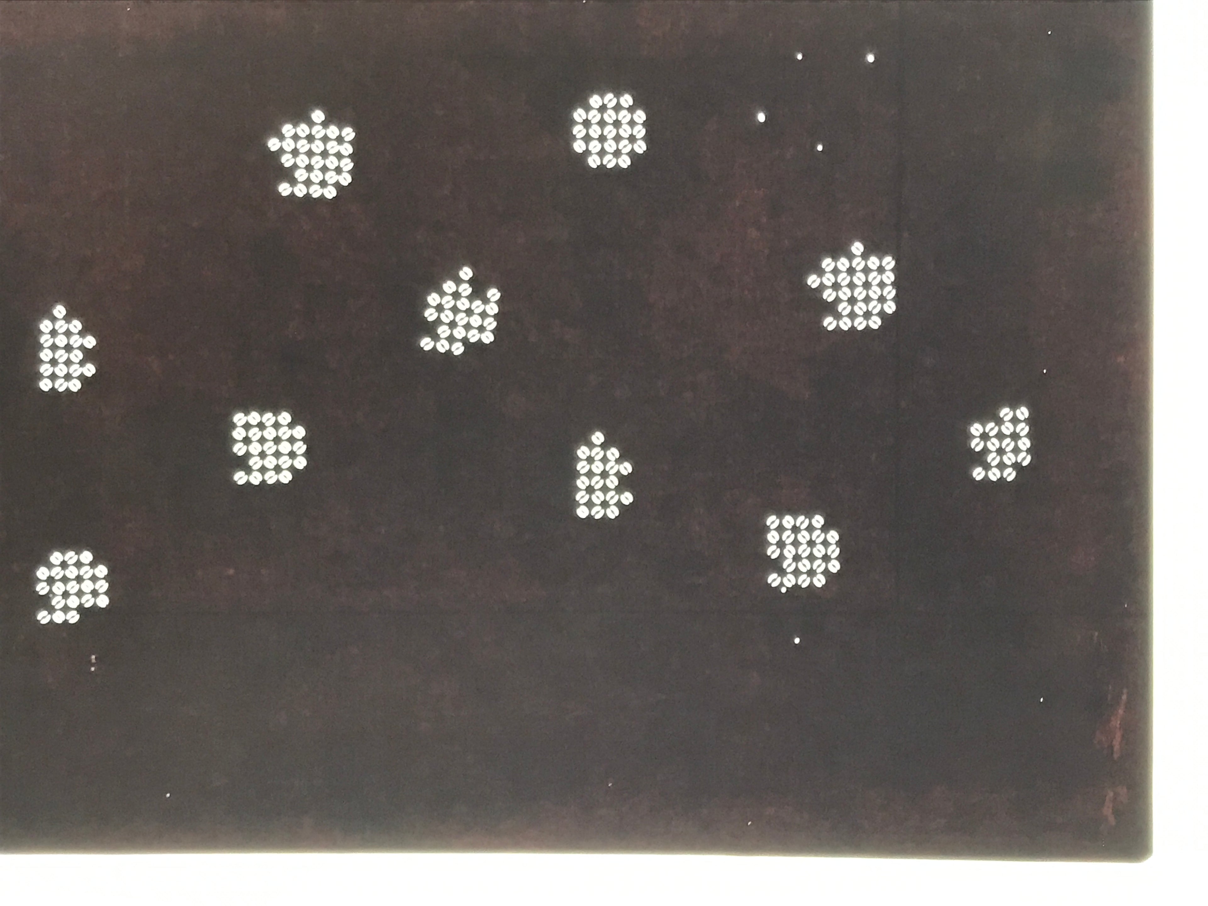 Antique Japanese Katagami Paper Kimono Stencil Katazome Hydrangea Floral A880