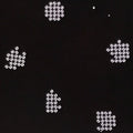 Antique Japanese Katagami Paper Kimono Stencil Katazome Hydrangea Floral A880
