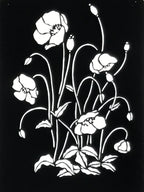 Antique Japanese Katagami Paper Kimono Stencil Katazome Keshi Poppy Flower A762