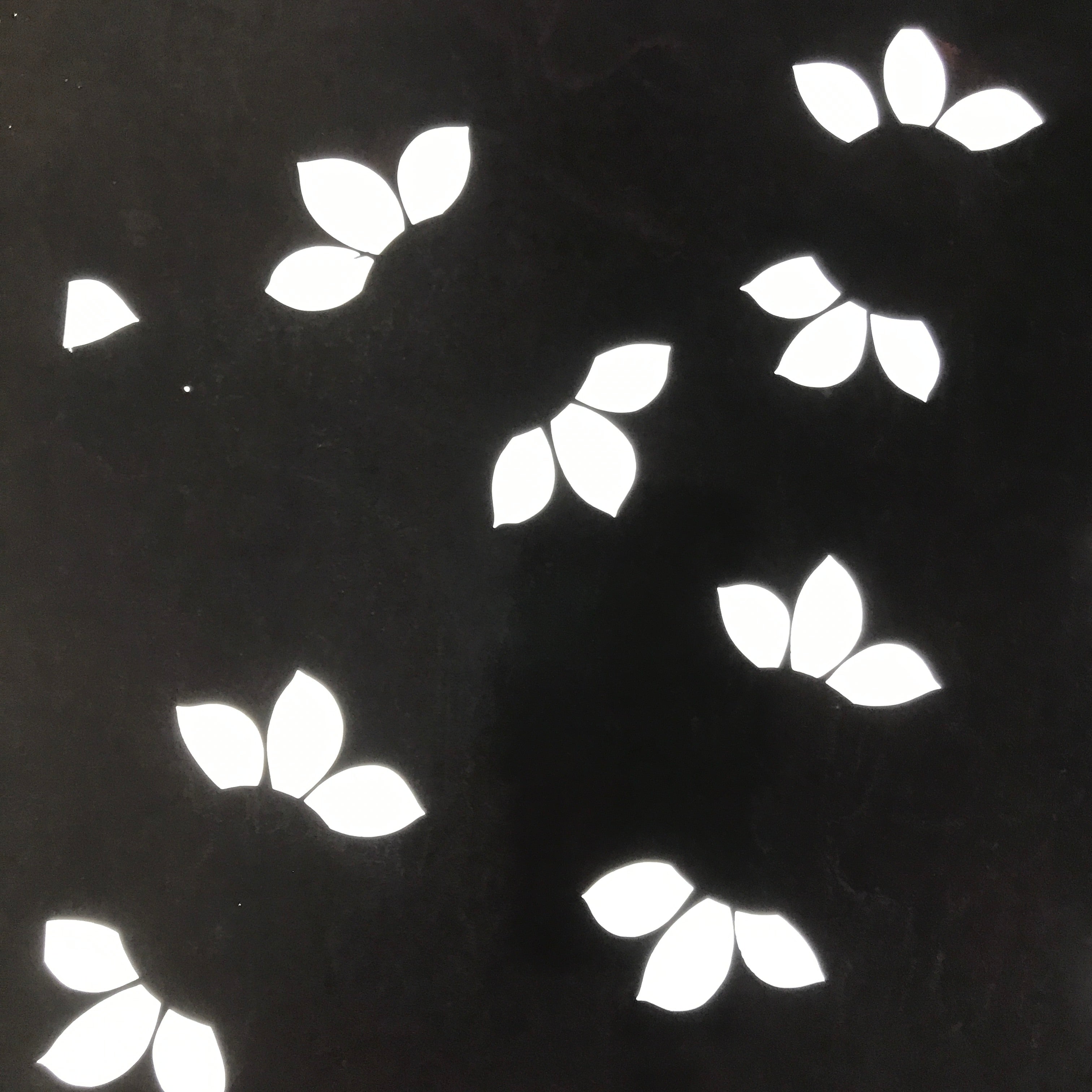 Antique Japanese Katagami Paper Kimono Stencil Katazome Large Leaves Design C954