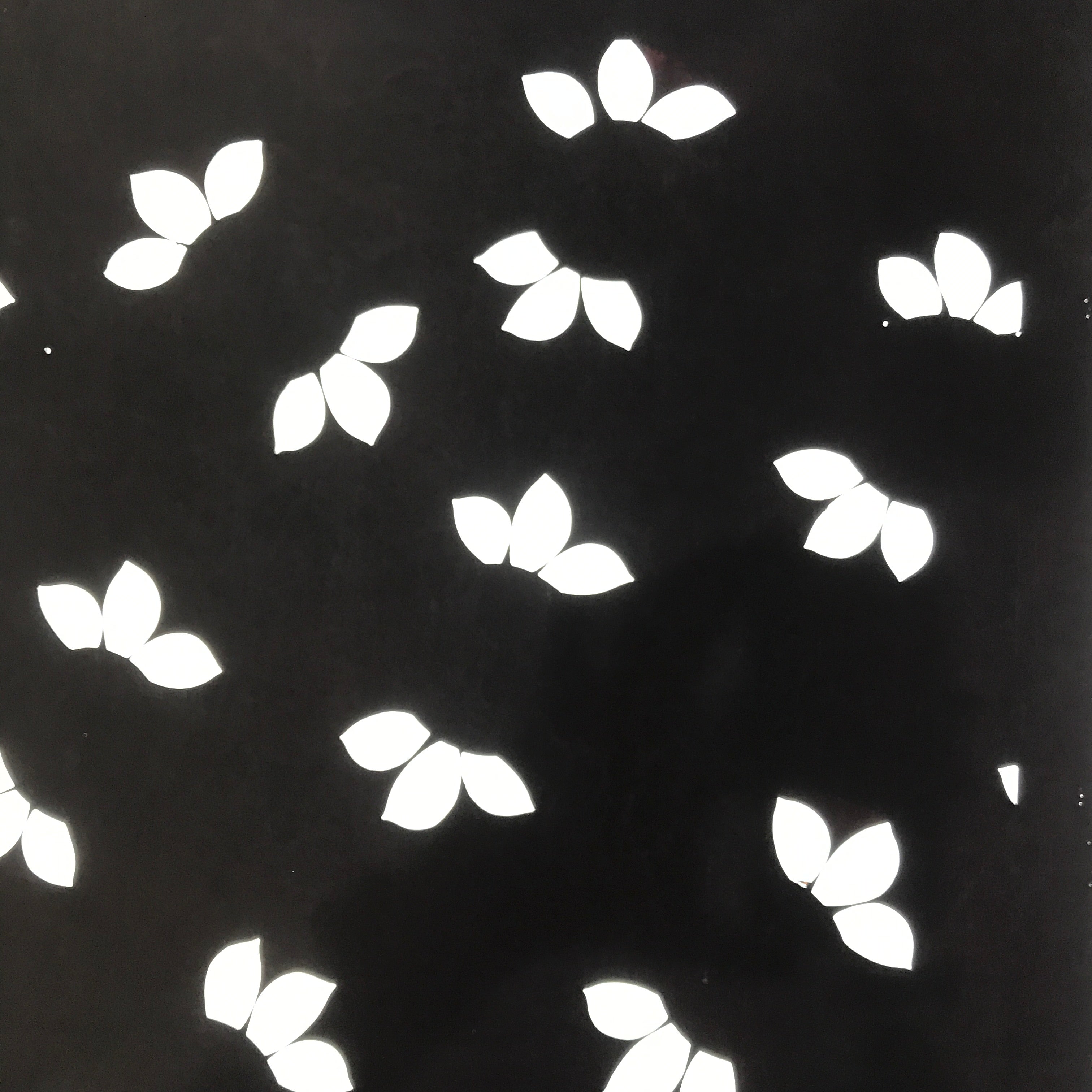Antique Japanese Katagami Paper Kimono Stencil Katazome Large Leaves Design C954