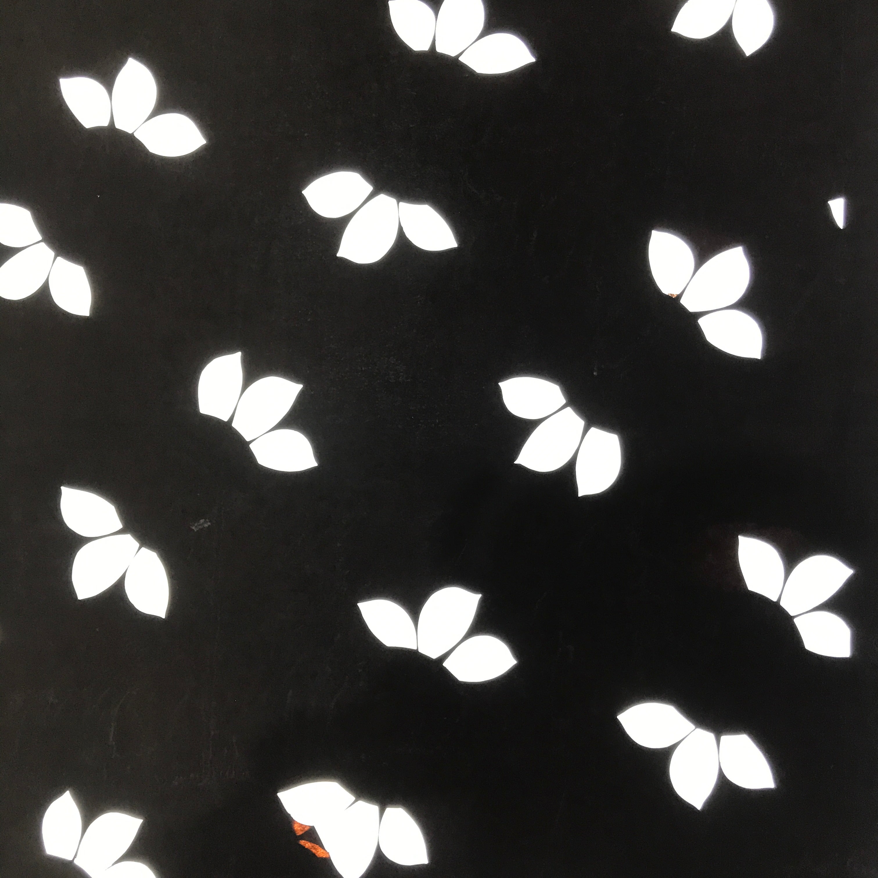 Antique Japanese Katagami Paper Kimono Stencil Katazome Large Leaves Design C954