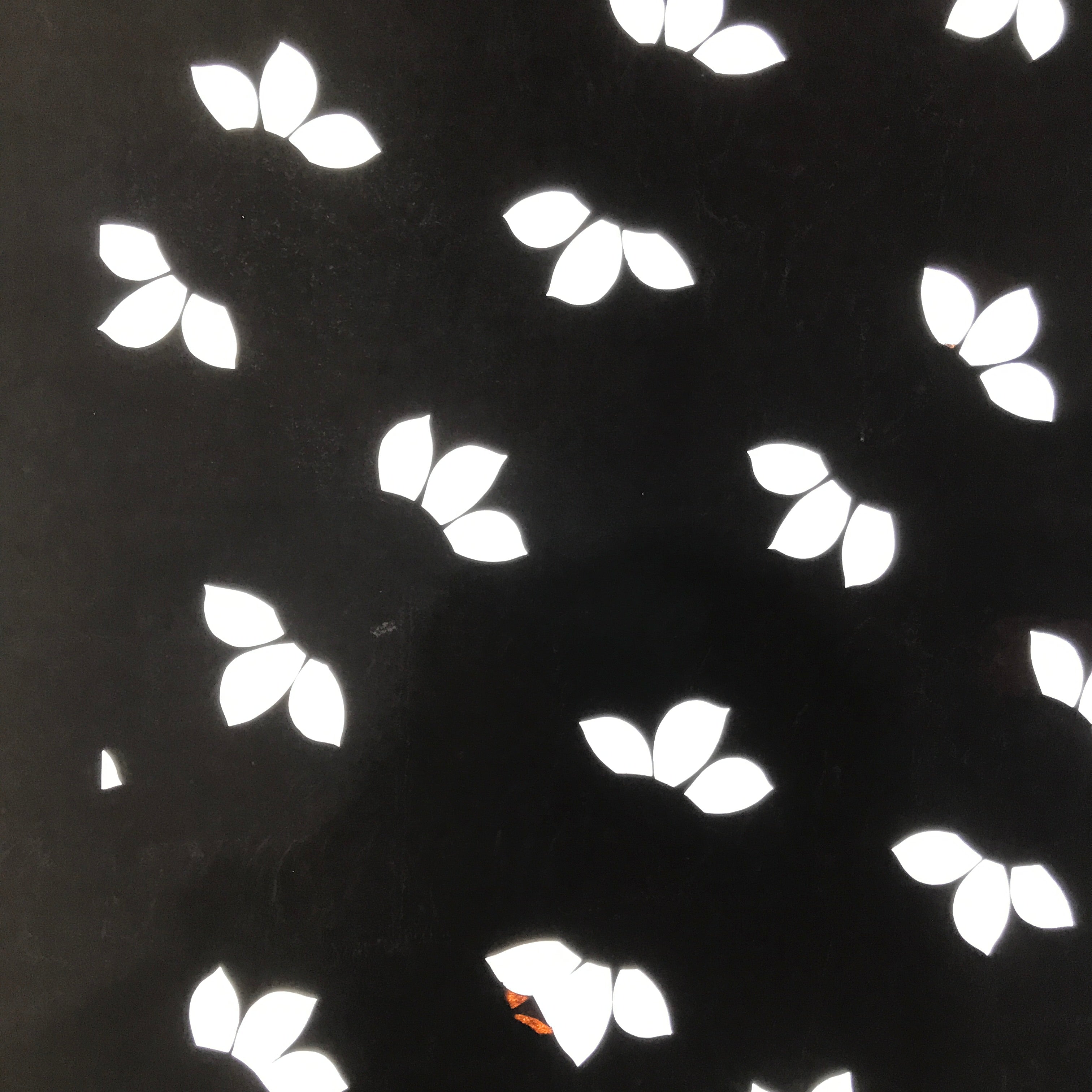 Antique Japanese Katagami Paper Kimono Stencil Katazome Large Leaves Design C954