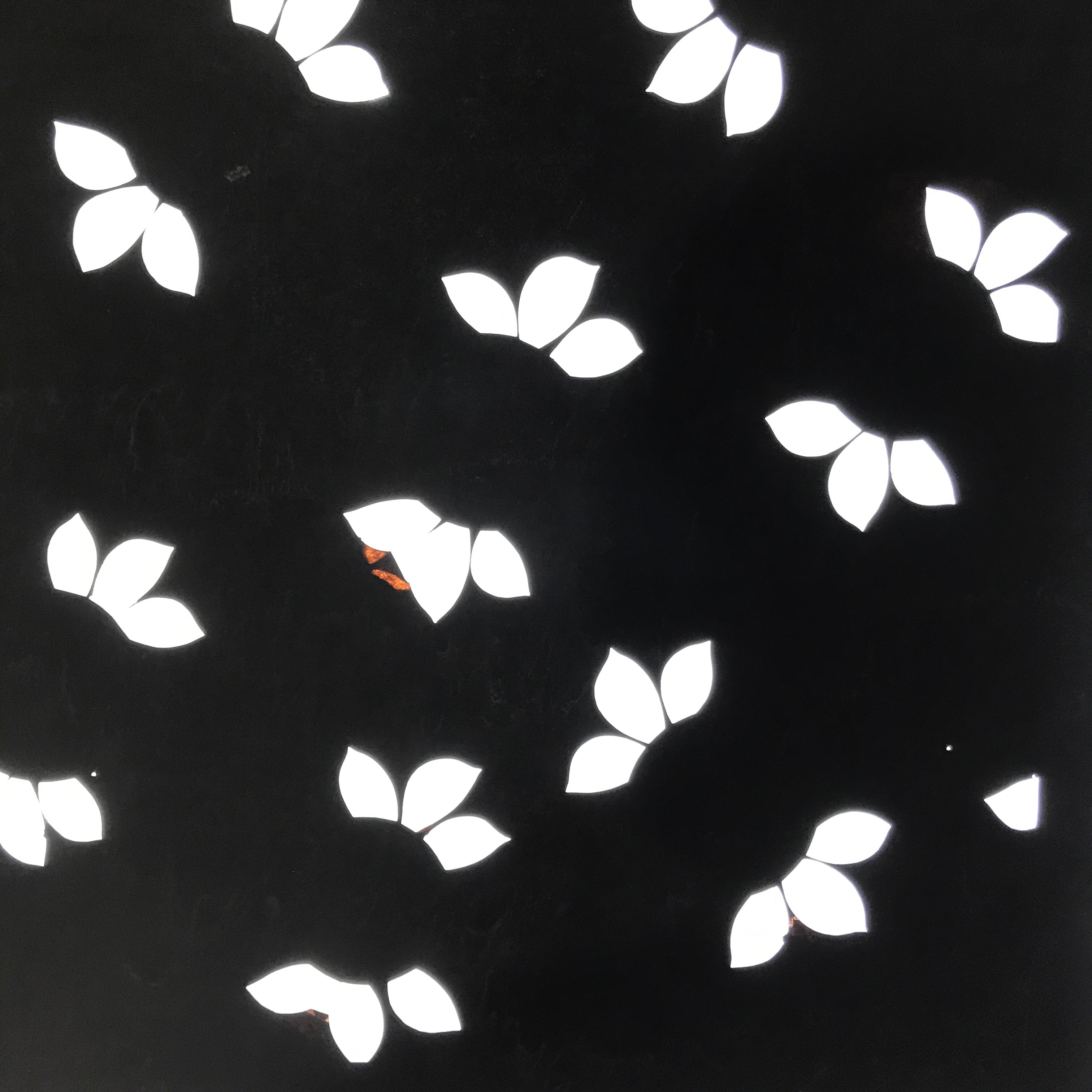 Antique Japanese Katagami Paper Kimono Stencil Katazome Large Leaves Design C954