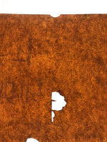 Antique Japanese Katagami Paper Kimono Stencil Katazome Leaf Plant Design C960