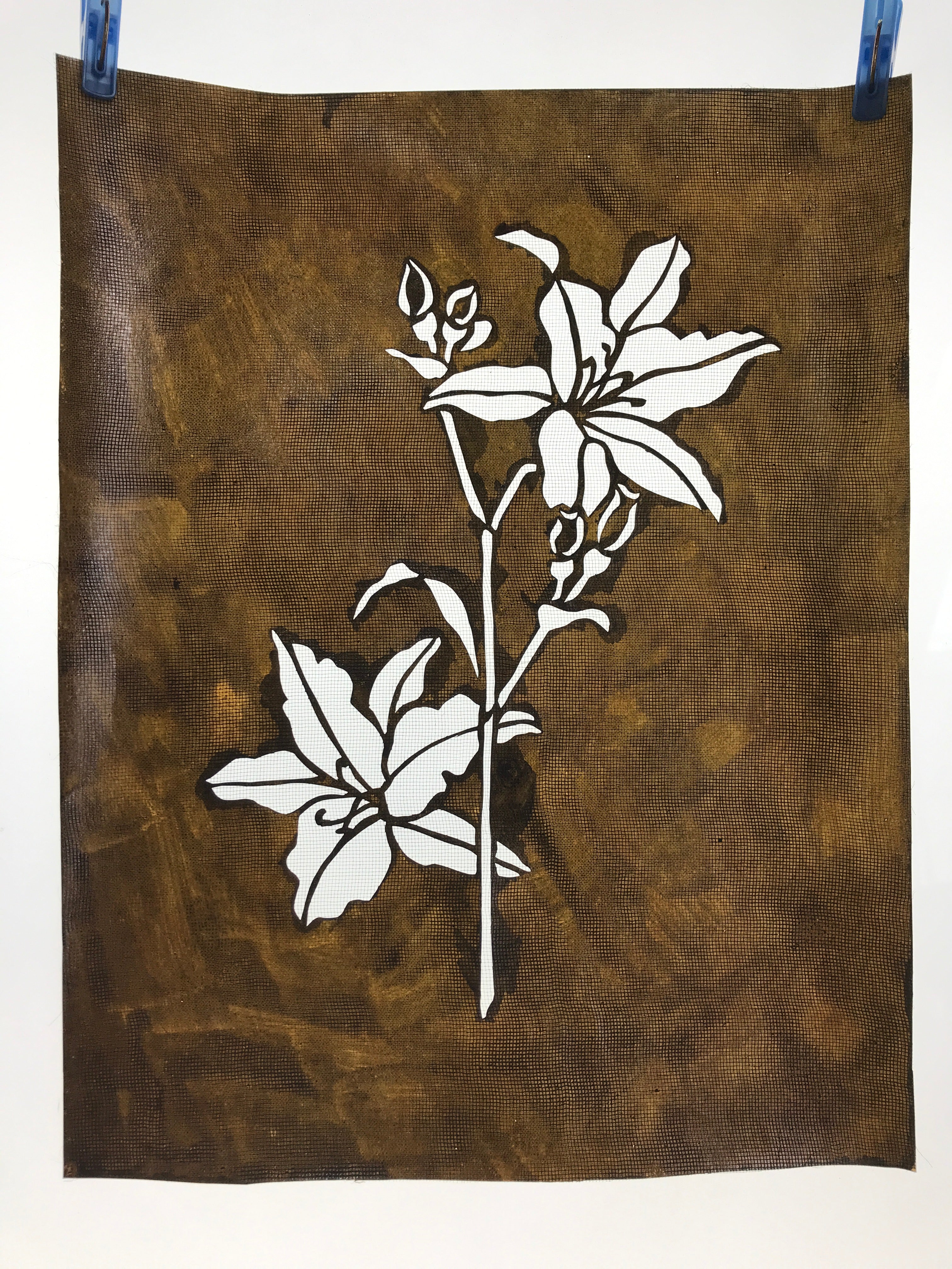 Antique Japanese Katagami Paper Kimono Stencil Katazome Lilies Yuri Flower A650