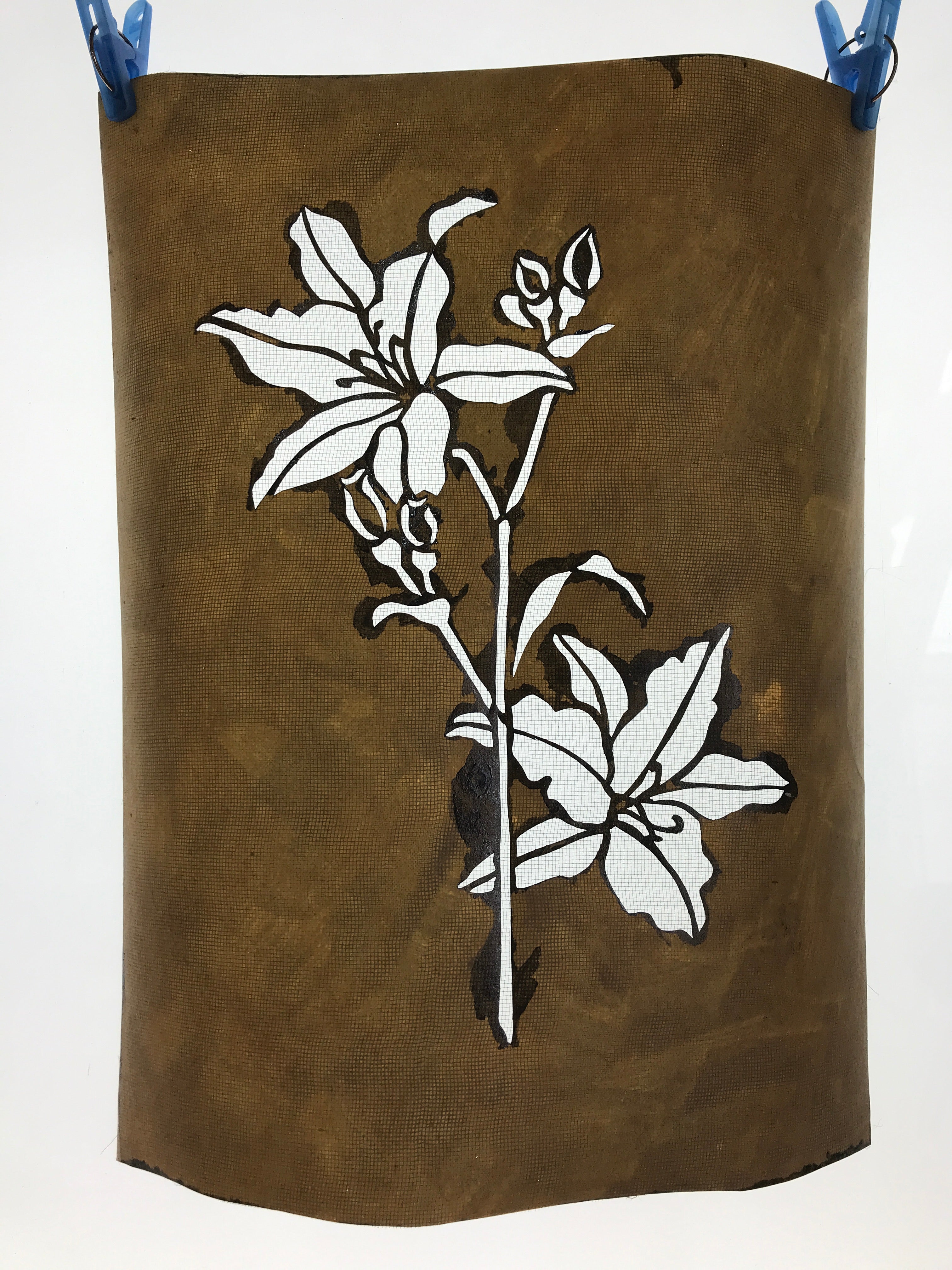 Antique Japanese Katagami Paper Kimono Stencil Katazome Lilies Yuri Flower A650