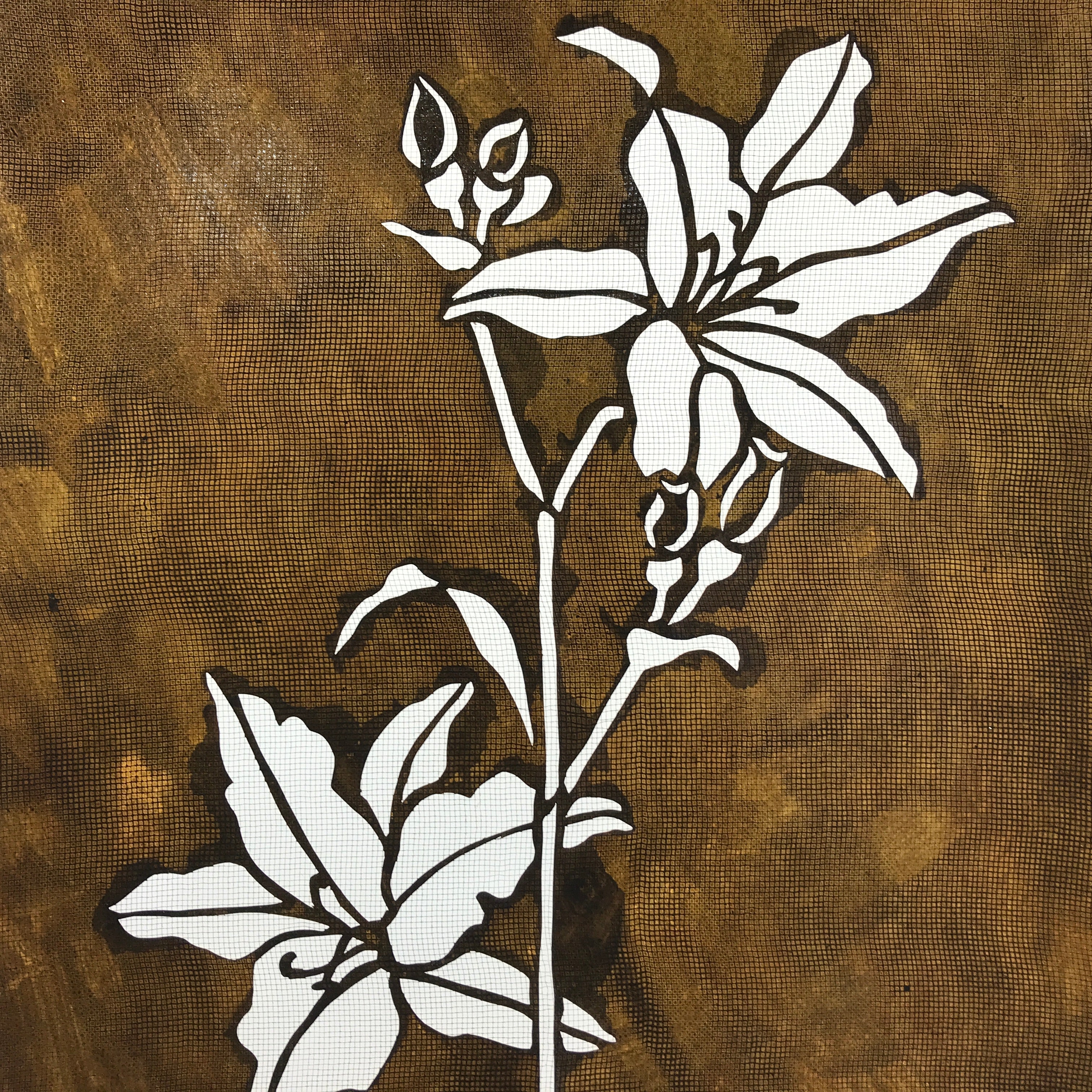 Antique Japanese Katagami Paper Kimono Stencil Katazome Lilies Yuri Flower A650