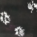 Antique Japanese Katagami Paper Kimono Stencil Katazome Peony Botan Design C916