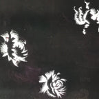 Antique Japanese Katagami Paper Kimono Stencil Katazome Peony Botan Design C916