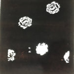 Antique Japanese Katagami Paper Kimono Stencil Katazome Peony Botan Design C917