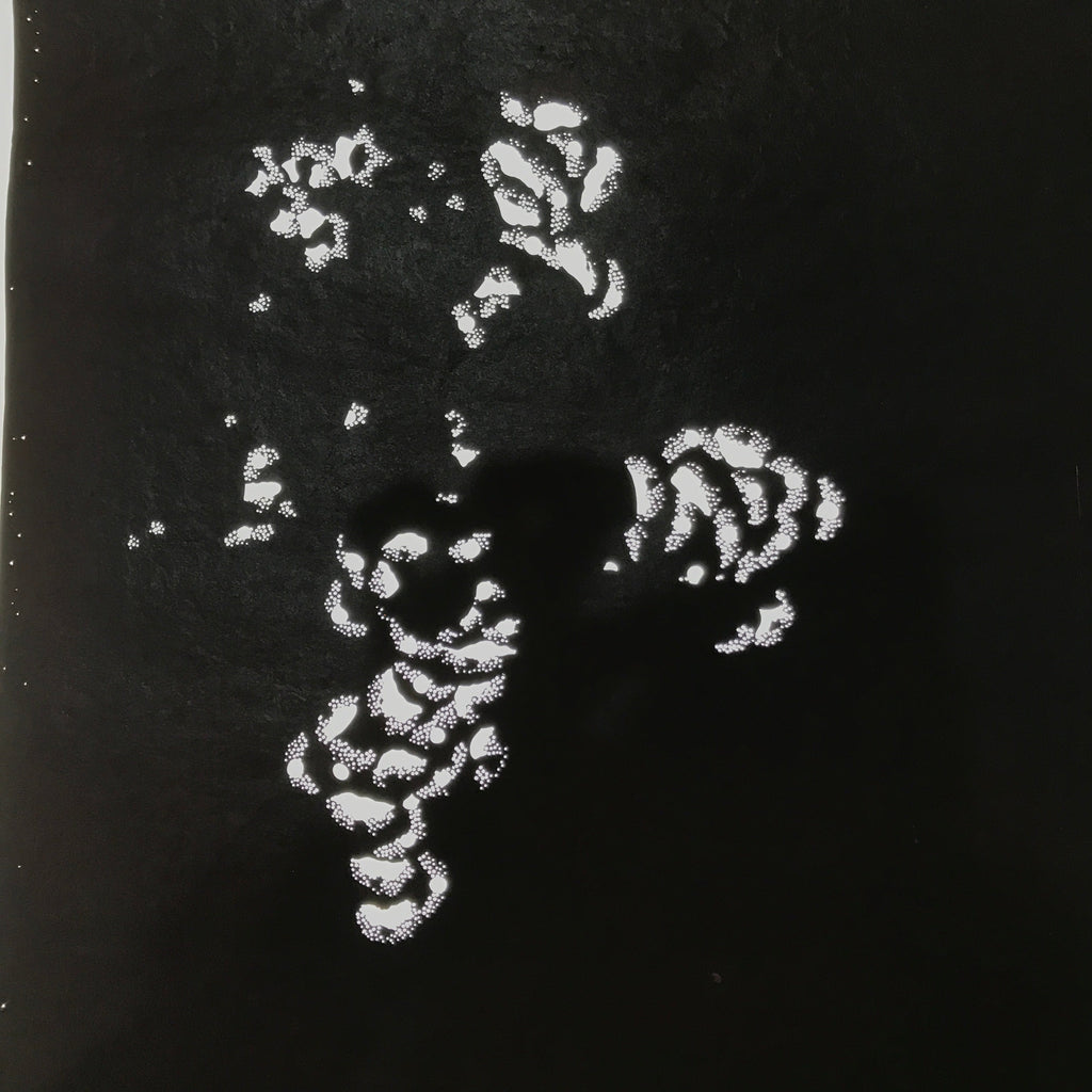 Antique Japanese Katagami Paper Kimono Stencil Katazome Peony Botan Petals C919