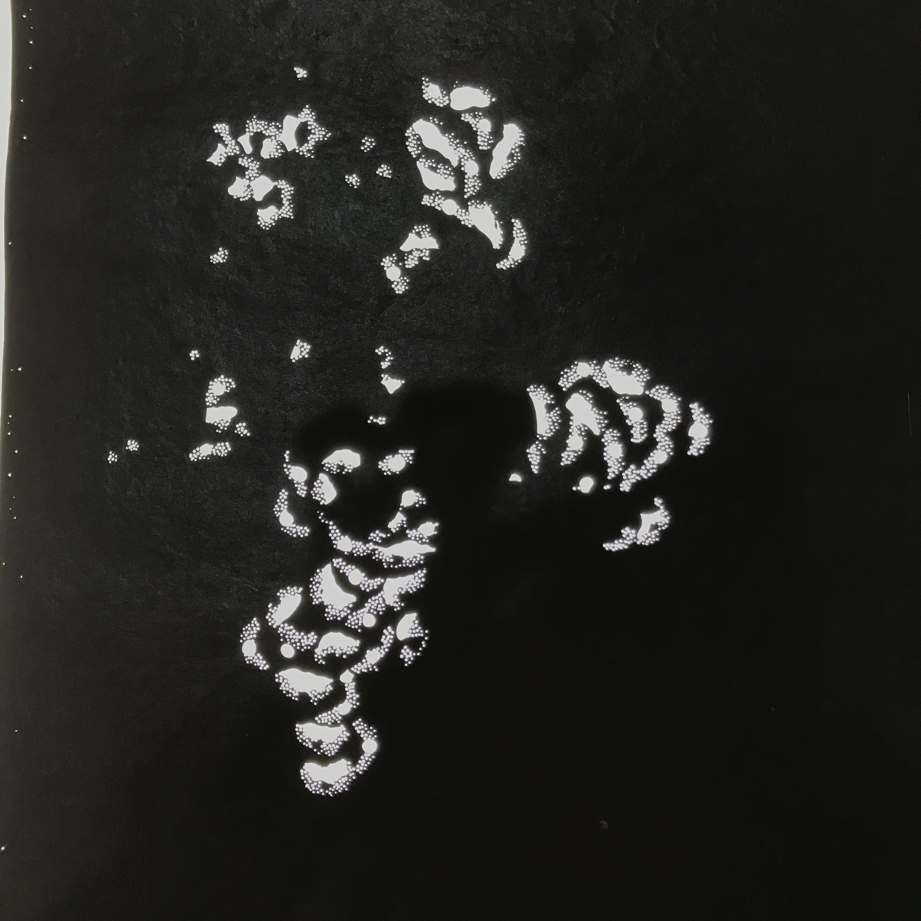 Antique Japanese Katagami Paper Kimono Stencil Katazome Peony Botan Petals C919
