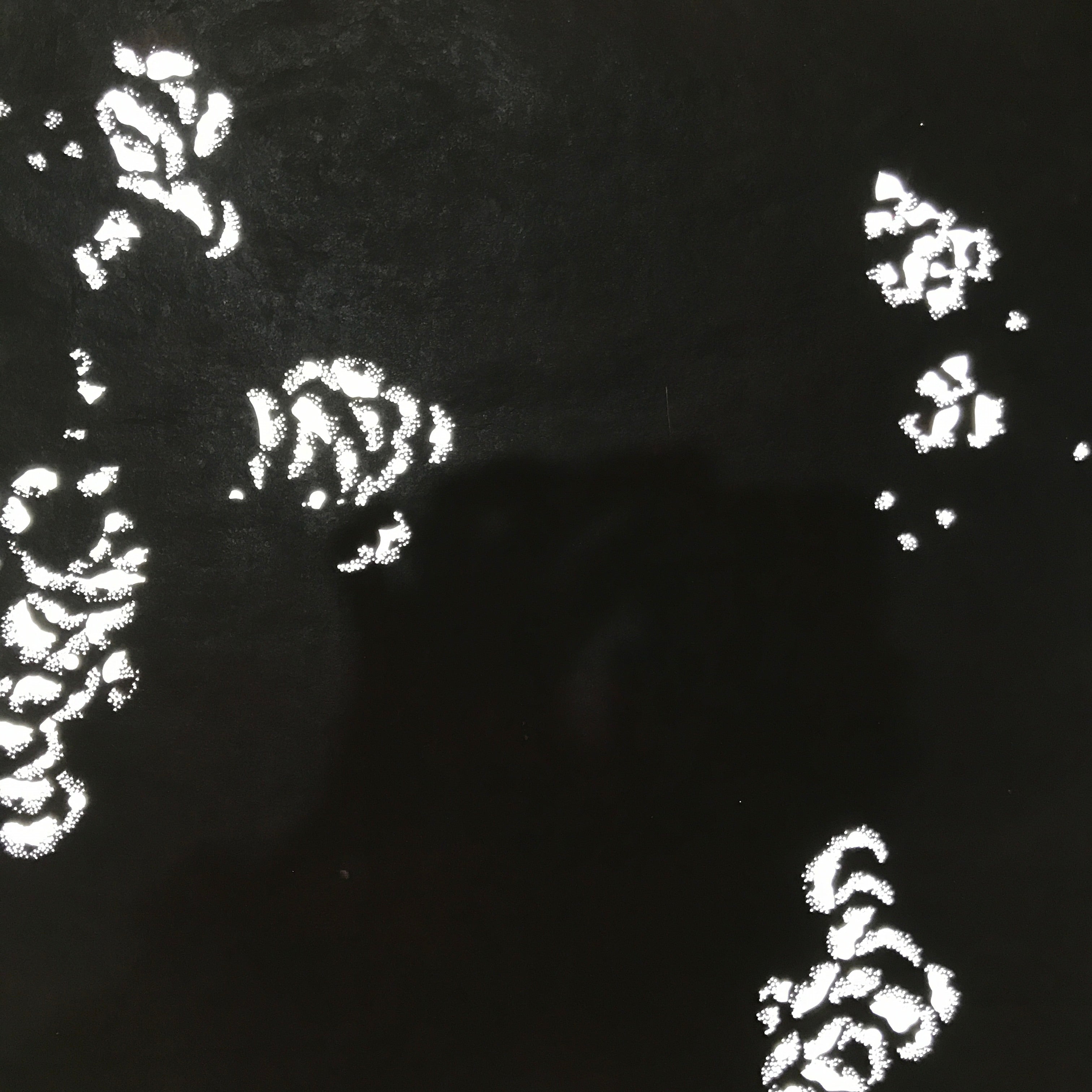 Antique Japanese Katagami Paper Kimono Stencil Katazome Peony Botan Petals C919