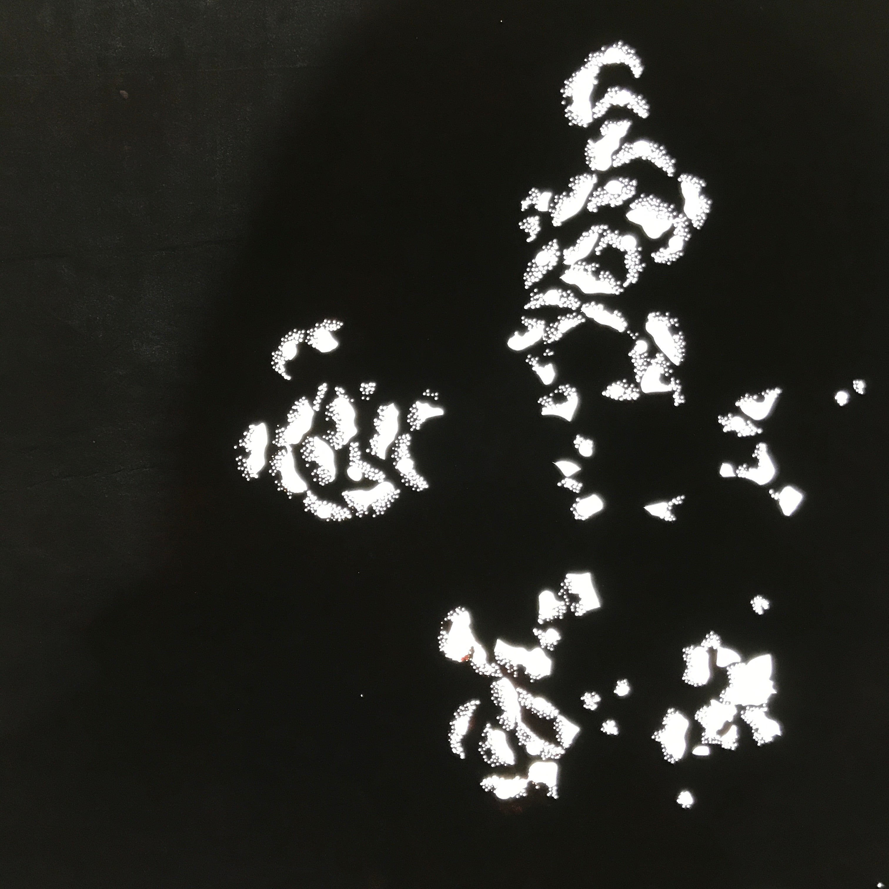 Antique Japanese Katagami Paper Kimono Stencil Katazome Peony Botan Petals C919