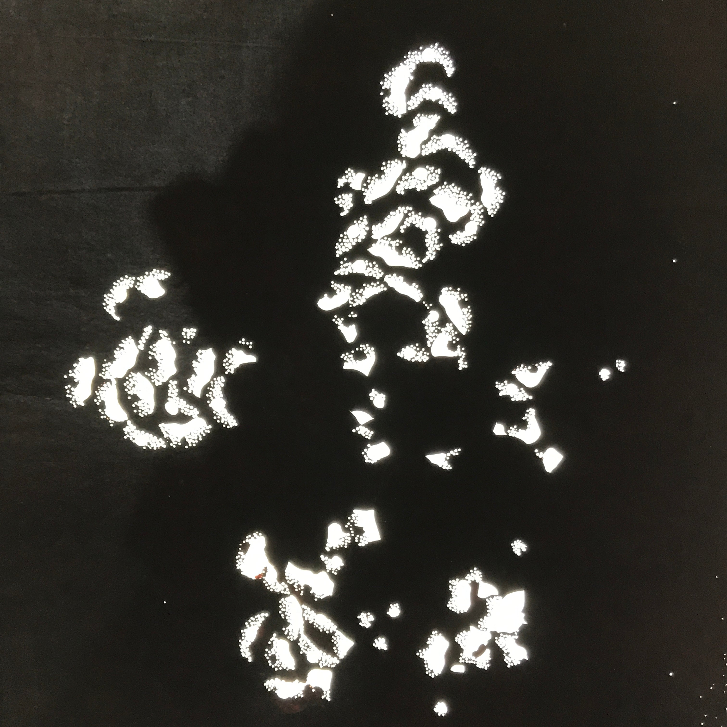 Antique Japanese Katagami Paper Kimono Stencil Katazome Peony Botan Petals C919