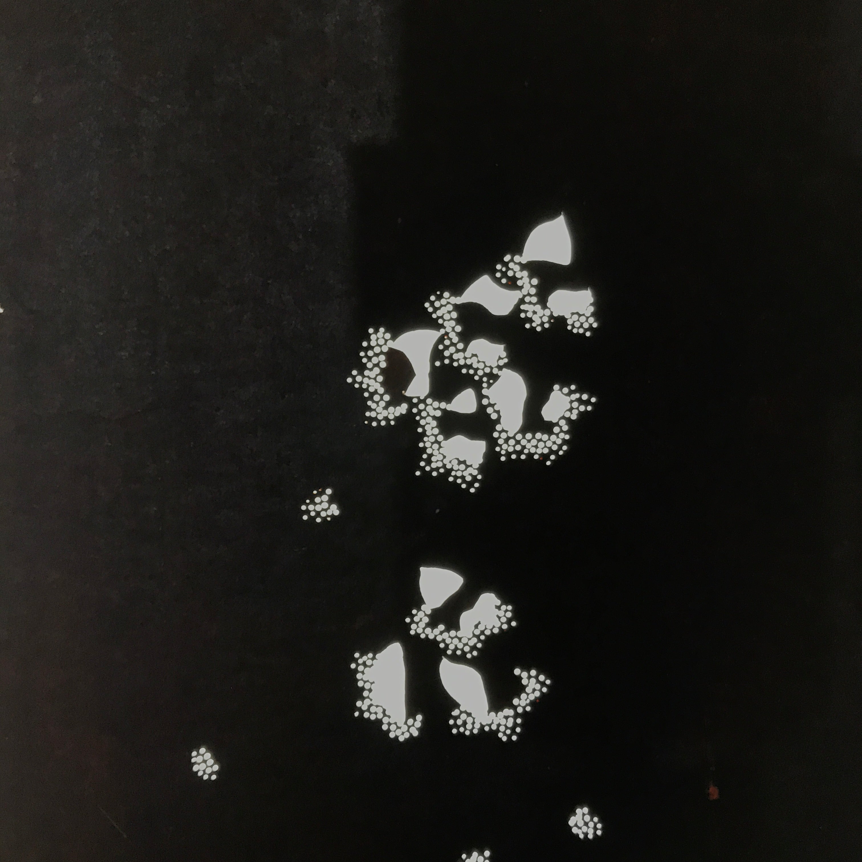 Antique Japanese Katagami Paper Kimono Stencil Katazome Peony Botan Petals C924