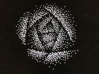 Antique Japanese Katagami Paper Kimono Stencil Katazome Rose Design C900
