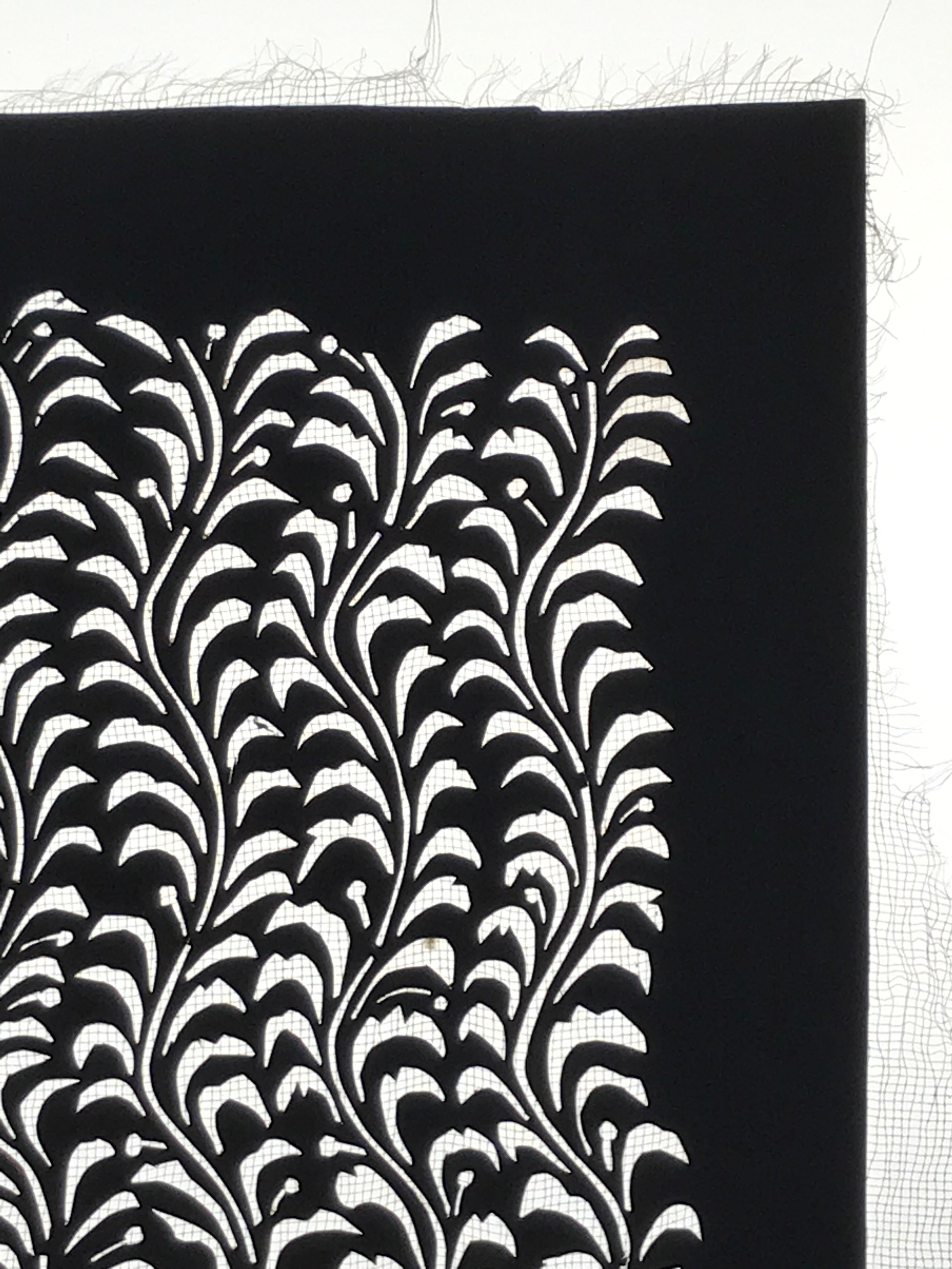 Antique Japanese Katagami Paper Kimono Stencil Katazome Seaweed Nori Vines A774