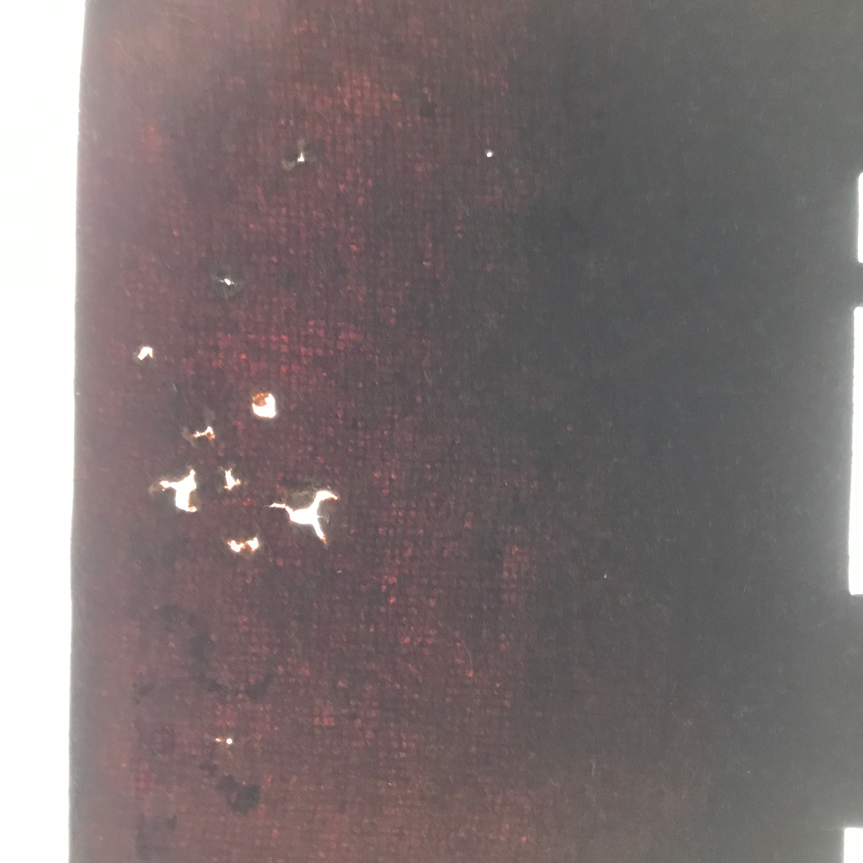 Antique Japanese Katagami Paper Kimono Stencil Katazome Silhouette Flowers C908