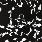 Antique Japanese Katagami Paper Kimono Stencil Katazome Silhouette Flowers C908