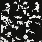 Antique Japanese Katagami Paper Kimono Stencil Katazome Silhouette Flowers C908
