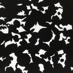 Antique Japanese Katagami Paper Kimono Stencil Katazome Silhouette Flowers C908