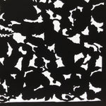 Antique Japanese Katagami Paper Kimono Stencil Katazome Silhouette Flowers C909