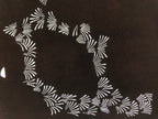 Antique Japanese Katagami Paper Kimono Stencil Katazome Simple Grass Design C894