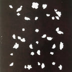 Antique Japanese Katagami Paper Kimono Stencil Katazome Simple Plant Design C959