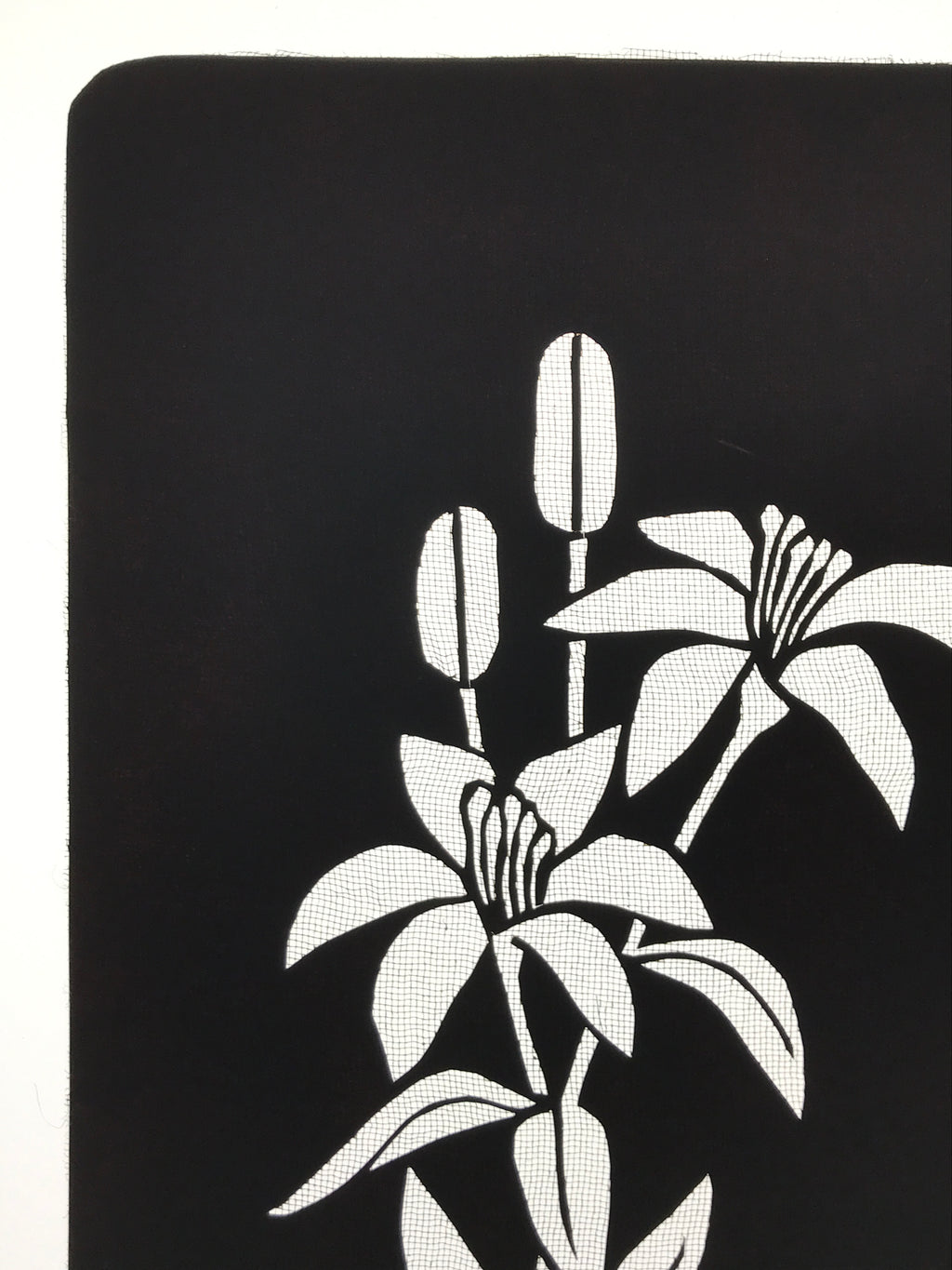 Antique Japanese Katagami Paper Kimono Stencil Katazome Yuri Lily Flowers A775